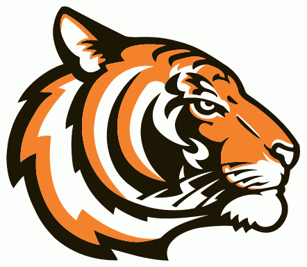 Princeton Tigers 2003-Pres Alternate Logo v2 iron on transfers for T-shirts